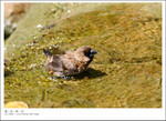 EOS_10D_0804_385