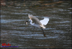 EOS_20D_0105_0393