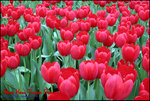 EOS_20D_0305_0099