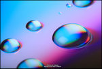 7D_0410_Droplet_5PS