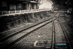 VKL_1444-00_resize
