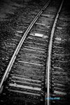 VKL_1484-00_resize
