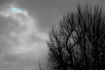 VKL_1574-00_resize