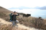 HiHi.... Mr. Cow!