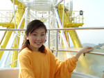 sanyo_c1dl