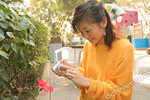 sanyo_c1l