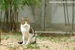 DSC_2791-1