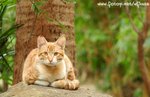 DSC_2889-1