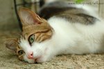 DSC_5348-1