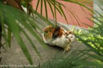 DSC_6409-1