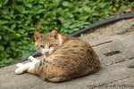 DSC_6474-1