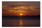 IMG037s