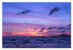 IMG_8434s