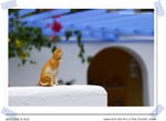 CRW_0002