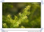 CRW_0007