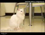 CRW_4921