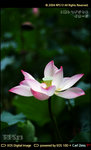 l111631092635350