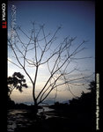 sichuan_EB3_5_35