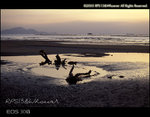 sichuan_EB3_6_29