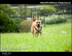 CRW_5100