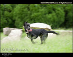 CRW_5101