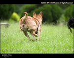 CRW_5102