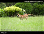 CRW_5104