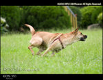 CRW_5105