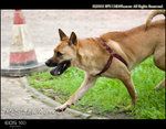 CRW_5107
