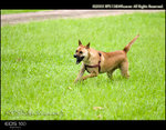 CRW_5108