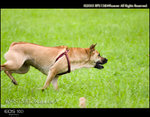 CRW_5109