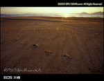 30v_E100VS_029