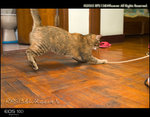 CRW_5654