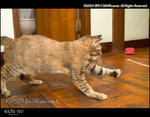 CRW_5660