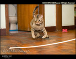 CRW_5661