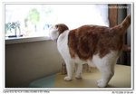 IMG_0581