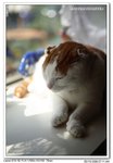 IMG_0590