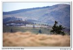 IMG_0790