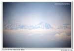IMG_0791