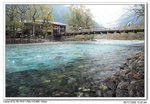 IMG_0961
