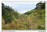 IMG_1178