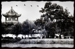 IMG_6765a