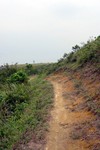 Dsc00010