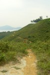 Dsc00011