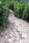 Pc080078