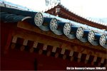 wo-dsc_5348