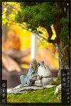 wo-dsc_5418