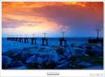 wo-dsc_6229