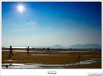 wo-dsc_6490