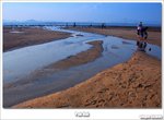 wo-dsc_6521